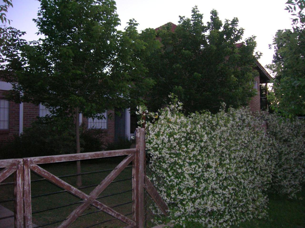 Soleaditos